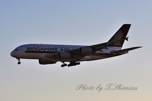 SIGAPORE AIRLINES
